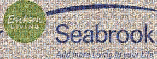 Seabrook photo mosaic
