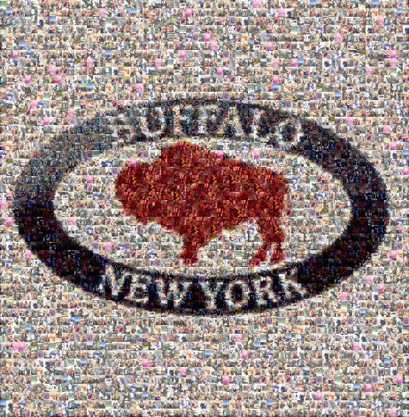 Buffalo New York photo mosaic