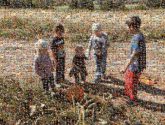 kids children cousins group boys girls toddlers outdoors pumpkins nature farms shadows sunny