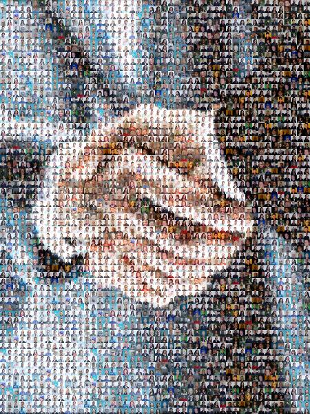 Handshake photo mosaic