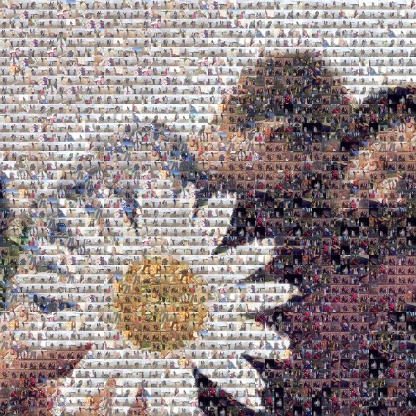 Young Love photo mosaic