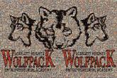school logos graphics text letters illustration wolf mascot community