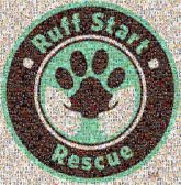 pet dog rescue shelter animals pets logos graphics words text font symbols icons