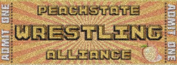 Peach State Wrestling Alliance photo mosaic