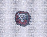 mascots teams community unity pride lions icons symbols graphics portraits
