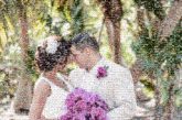 outdoors weddings scenic people faces portraits formal marriage married couples love flowers brides grooms husband wife 
