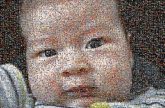 newborn baby children faces close up portrait people infant