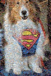 dogs pets animals superman logos symbols icons