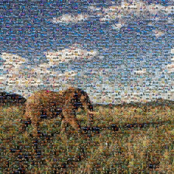 Elephant in the Wild photo mosaic