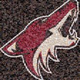 arizona coyotes hockey sports logos mascots animals companies