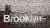 brooklyn cityscape landscape buildings view text font