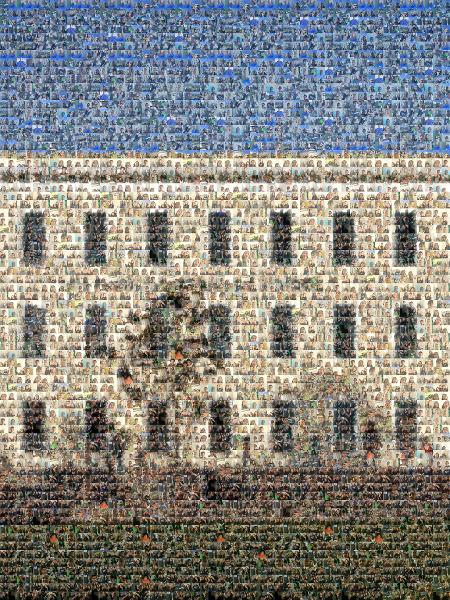 Building Made of Selfies photo mosaic