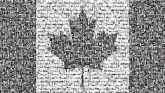Canada Canadian North America nation country patriotism flag symbol maple leaf