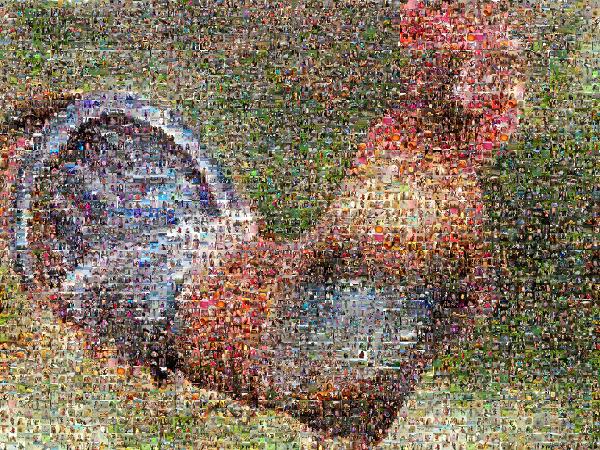 A Colorful Rooster photo mosaic