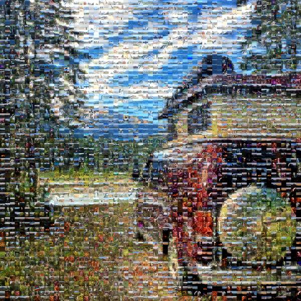 Traveler photo mosaic