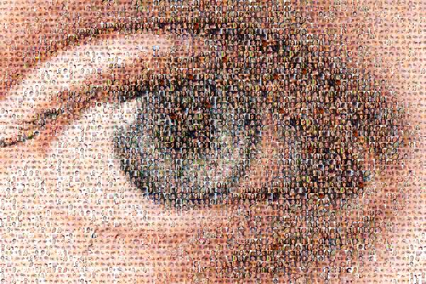 A Close Up of an Eye photo mosaic
