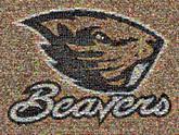 animal sports team beavers graphic logo icon mascot
