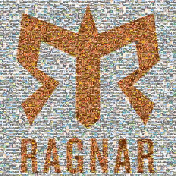 Ragnar photo mosaic