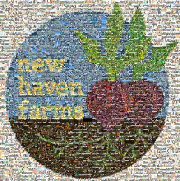 New Haven Farms photo mosaic