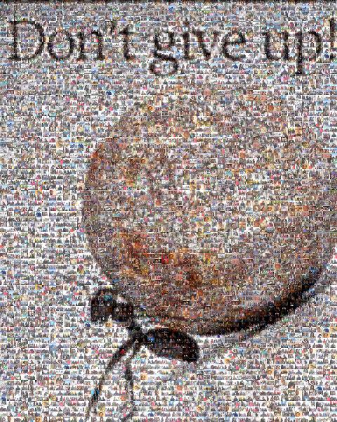 Don't Give Up! photo mosaic