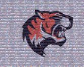 tigers animals logos mascots symbols graphics illustrations simple schools