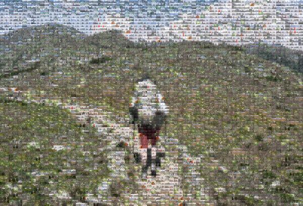 Hiking the Appalachian Trail photo mosaic