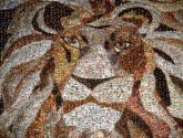 lions animals images designs quilts patterns objects