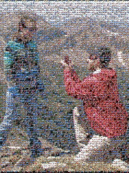 A Picturesque Proposal photo mosaic