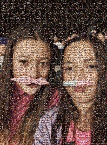 Silly Selfie photo mosaic