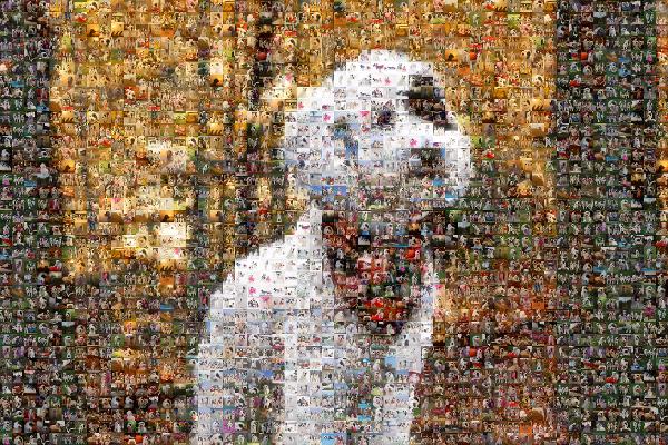 Spotted Dog photo mosaic