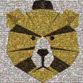 bears animals graphics illustrations cartoons mascots logos icons 