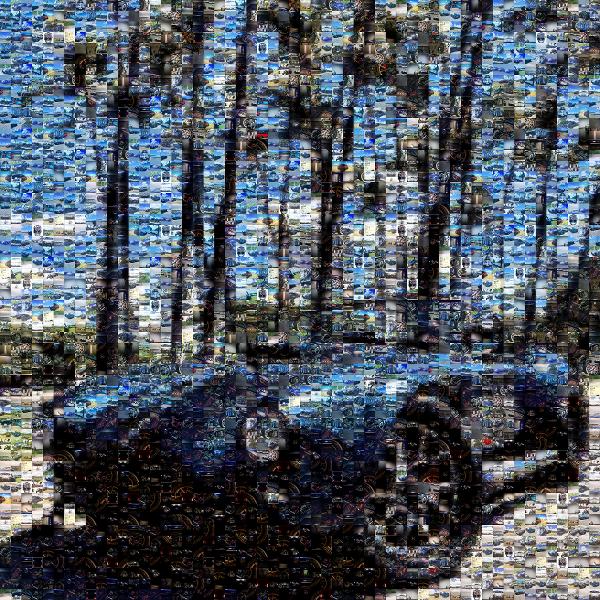 AC Cobra photo mosaic