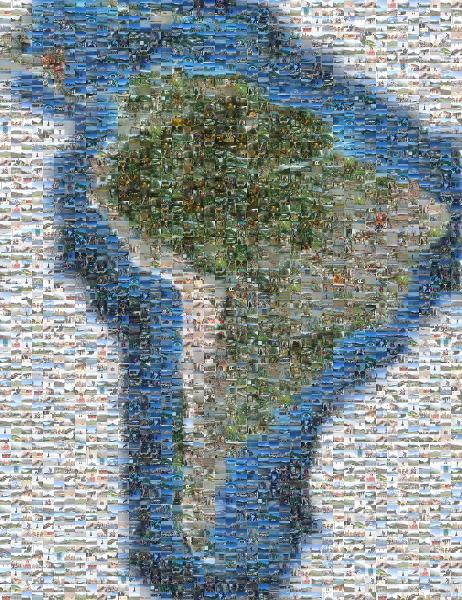 South America photo mosaic