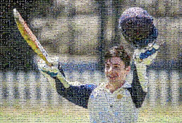 Cricket photo mosaic
