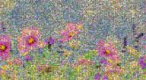 Flower Desktop Wallpaper Flowering plant Petal Garden cosmos Wildflower Meadow Watercolor paint Sky