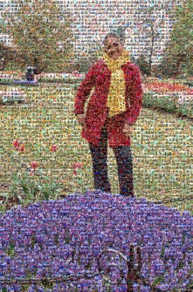 Tulip photo mosaic