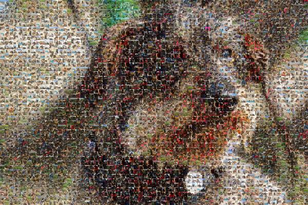 Airedale Terrier photo mosaic