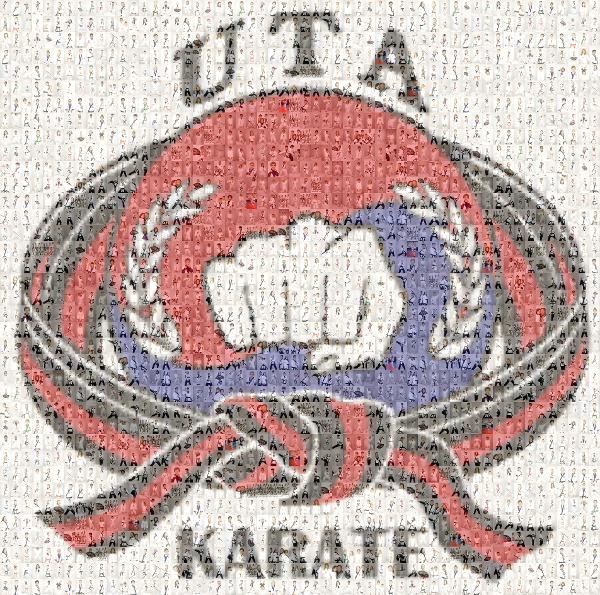 UTA Karate Manchester LLC photo mosaic