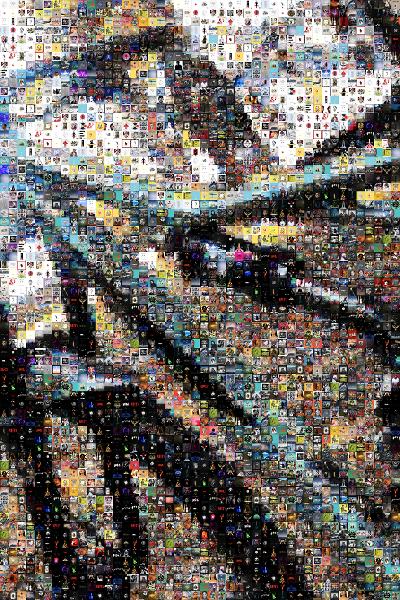 Bicycle frame photo mosaic
