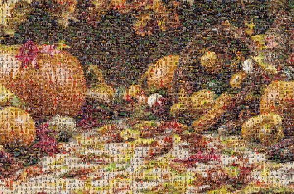 Thanksgiving photo mosaic