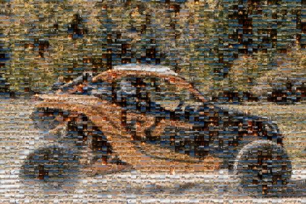Off-road vehicle photo mosaic