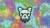 Mammal Snout Canidae Art Font Magenta Circle Symmetry Electric blue Pattern Graphics Visual arts