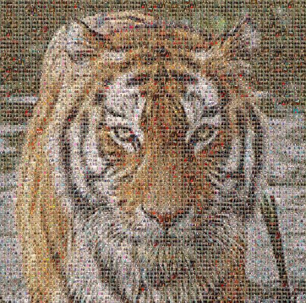 White tiger photo mosaic
