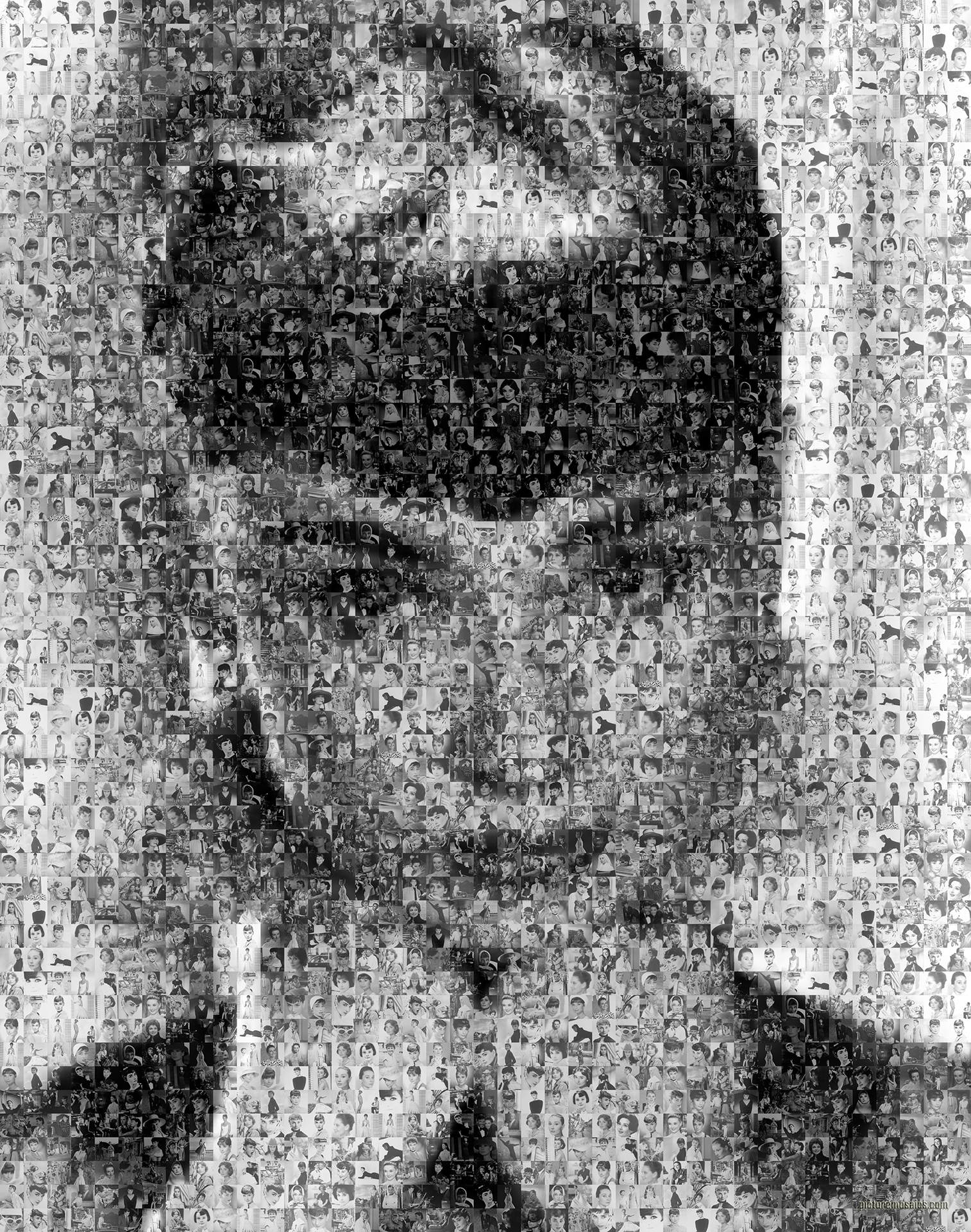 photo mosaic created using 186 images from Audrey's films and photos