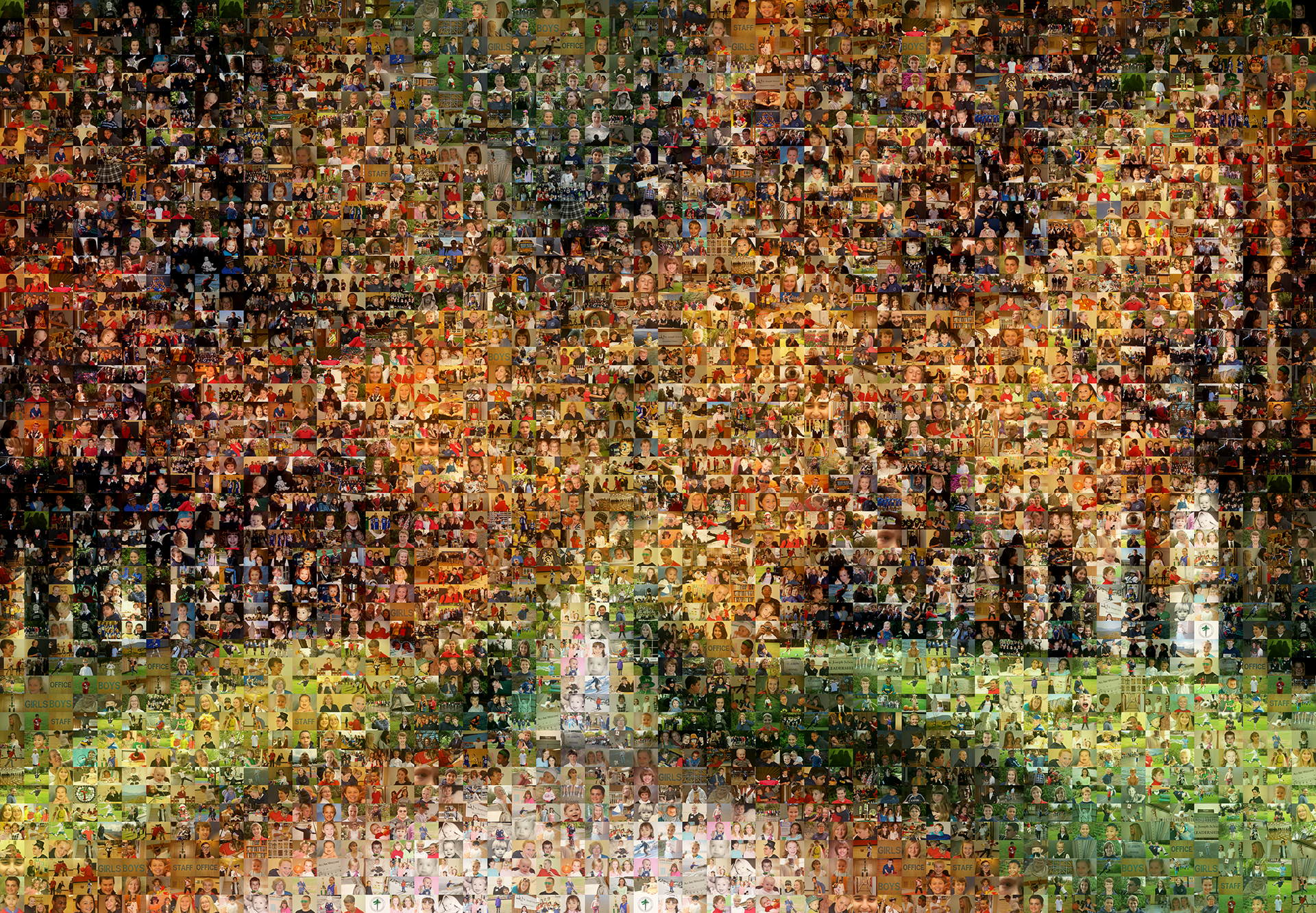 photo mosaic a beautiful path of fall leaves made using 1058