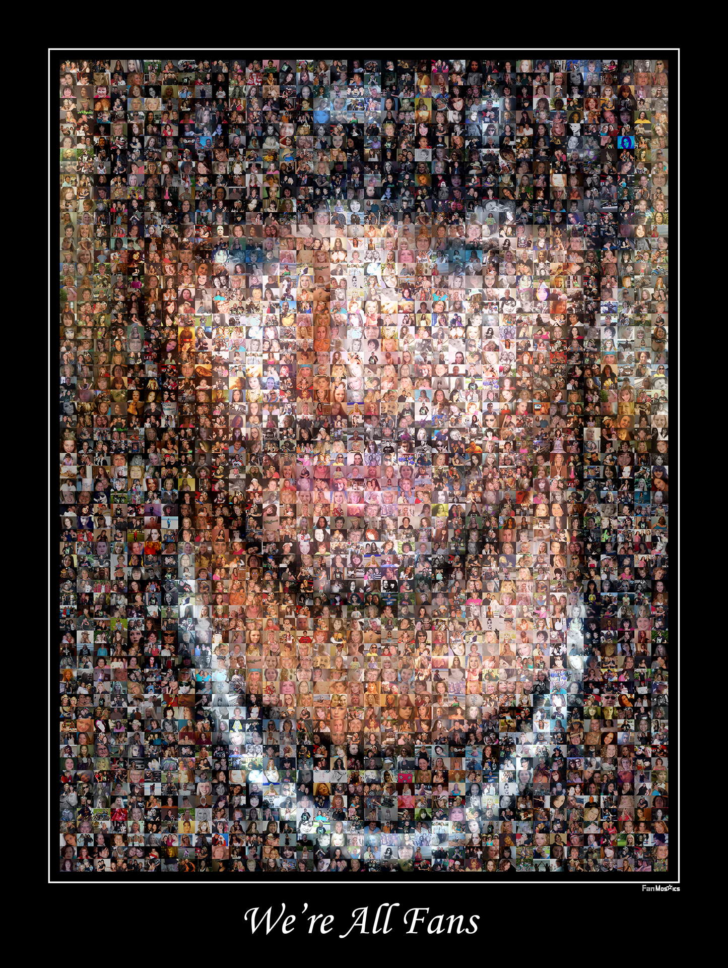 photo mosaic created using over 1,800 fan submitted photos