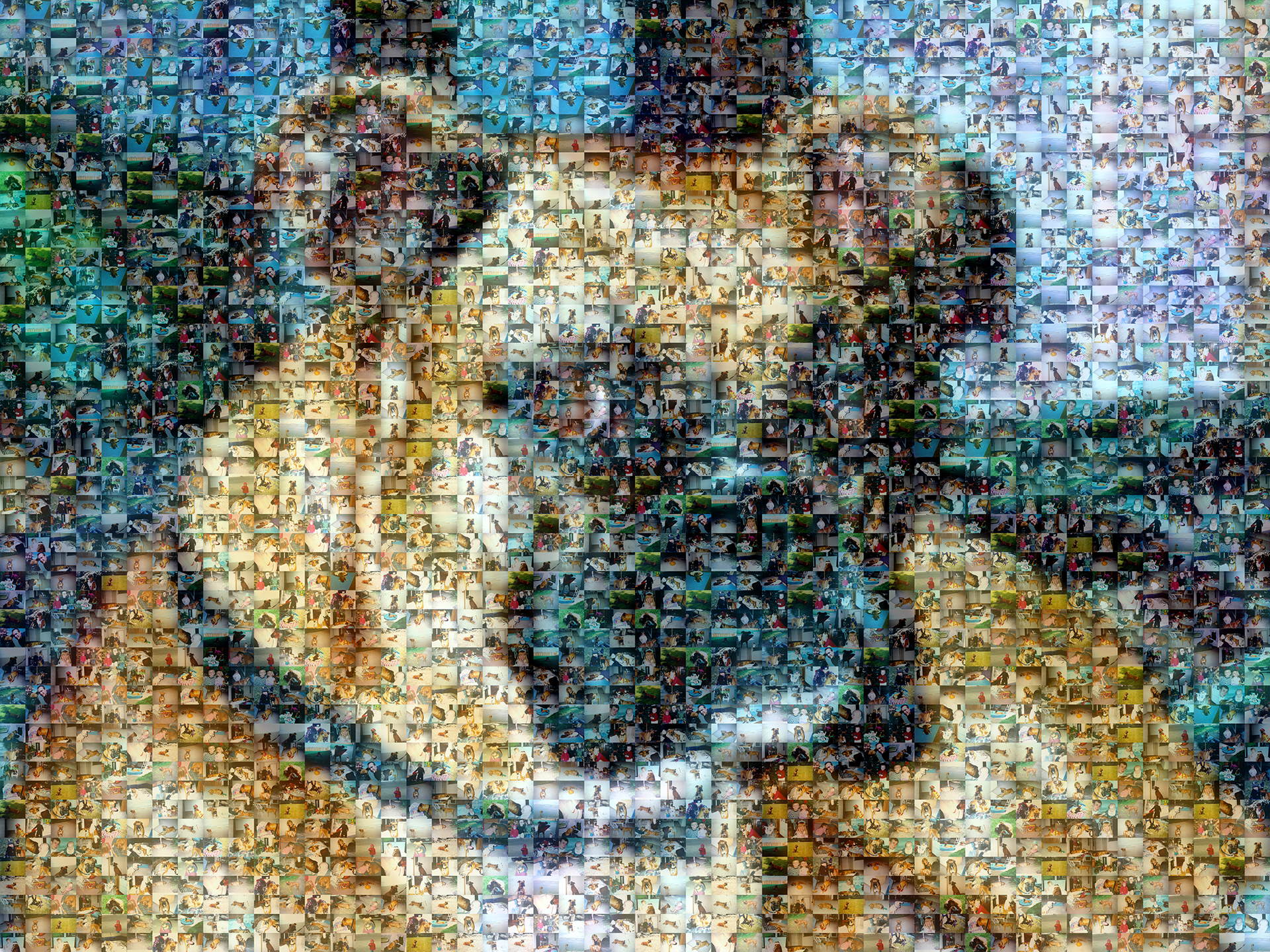 photo mosaic created using only 87 customer selected photos