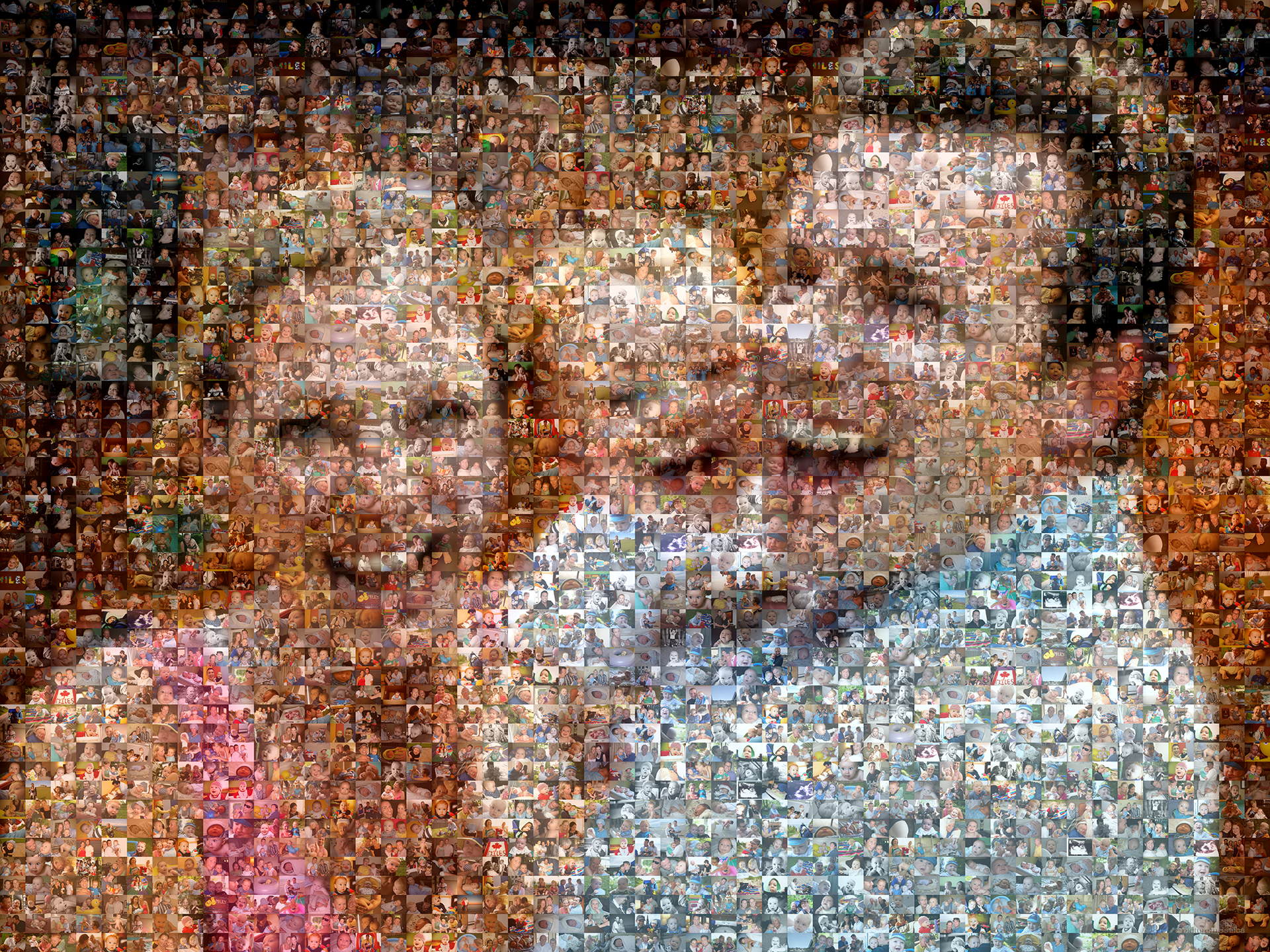 photo mosaic created using 582 family photos