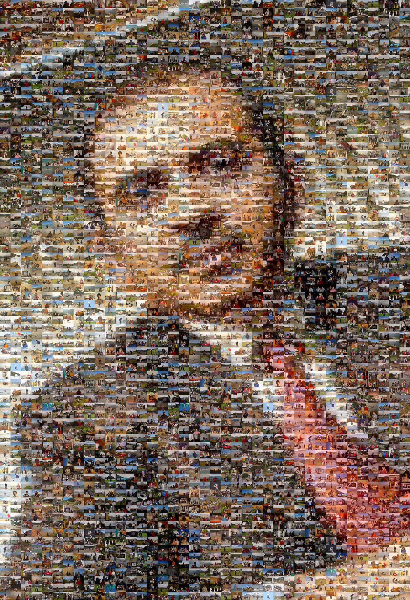 photo mosaic created using 550 Lifetime photos