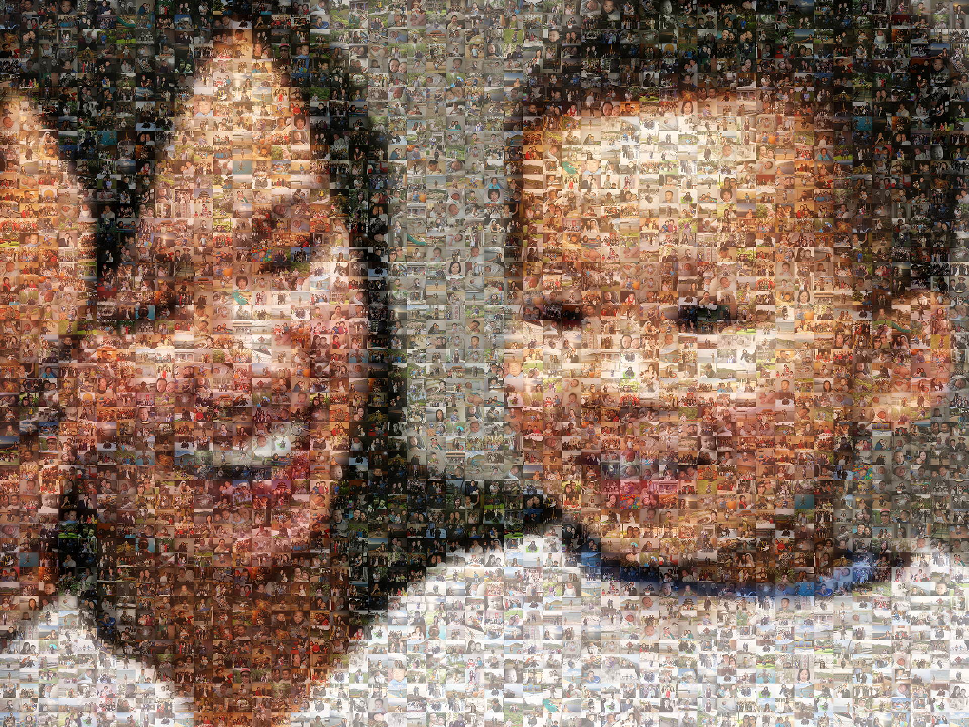 photo mosaic created using 690 family photos